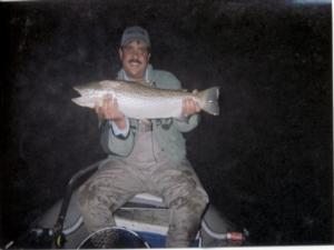 night fishing brown trout